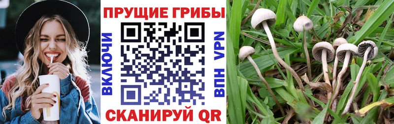 Галлюциногенные грибы Magic Shrooms Туймазы